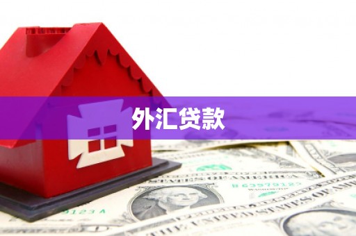 船营外汇贷款