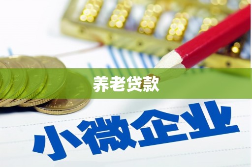 船营养老贷款