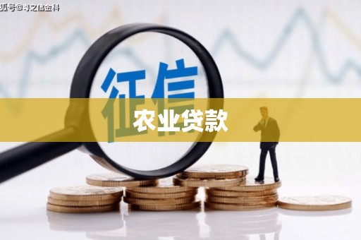 船营农业贷款