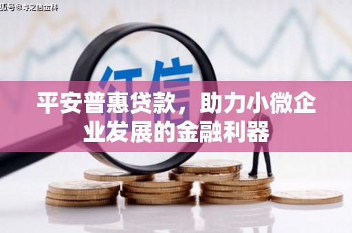 船营平安普惠贷款，助力小微企业发展的金融利器
