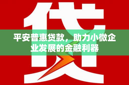 船营平安普惠贷款，助力小微企业发展的金融利器