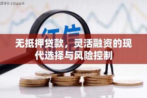 船营无抵押贷款，灵活融资的现代选择与风险控制