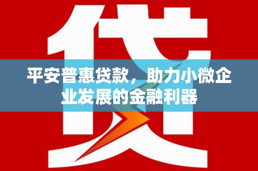 船营平安普惠贷款，助力小微企业发展的金融利器