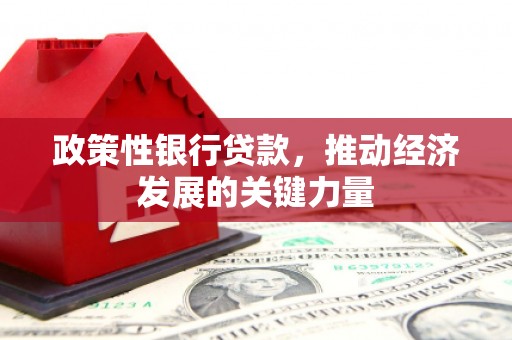 船营政策性银行贷款，推动经济发展的关键力量
