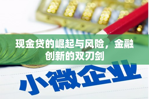 船营现金贷的崛起与风险，金融创新的双刃剑