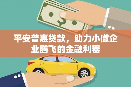 船营平安普惠贷款，助力小微企业腾飞的金融利器