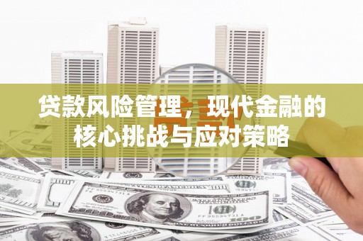 船营贷款风险管理，现代金融的核心挑战与应对策略