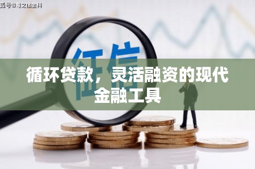 船营循环贷款，灵活融资的现代金融工具
