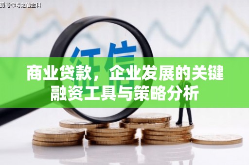 船营商业贷款，企业发展的关键融资工具与策略分析