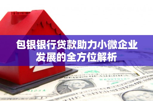 船营包银银行贷款助力小微企业发展的全方位解析