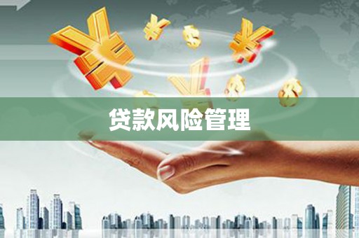 船营贷款风险管理