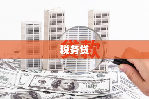 船营税务贷