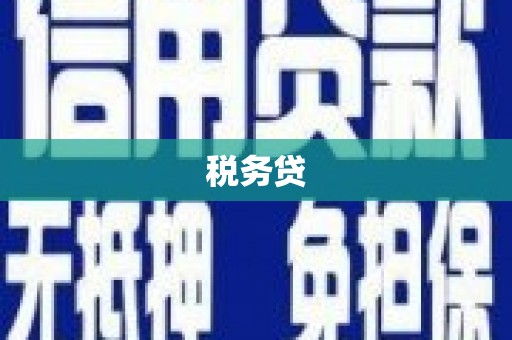 船营税务贷