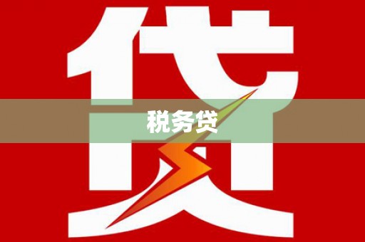 船营税务贷
