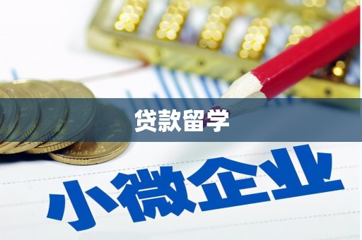 船营贷款留学