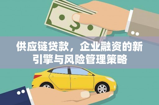 船营供应链贷款，企业融资的新引擎与风险管理策略