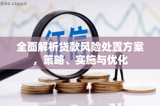 船营全面解析贷款风险处置方案，策略、实施与优化