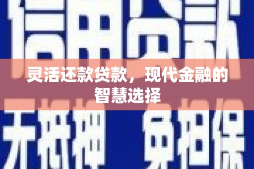 船营灵活还款贷款，现代金融的智慧选择