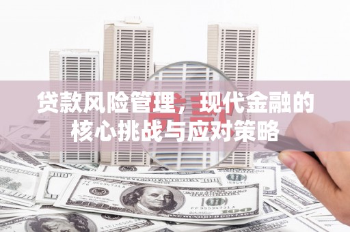 船营贷款风险管理，现代金融的核心挑战与应对策略