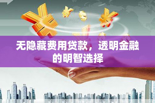 船营无隐藏费用贷款，透明金融的明智选择