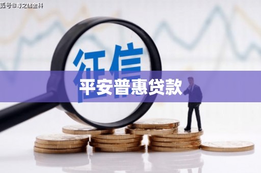 船营平安普惠贷款