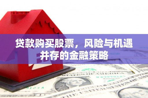 船营贷款购买股票，风险与机遇并存的金融策略