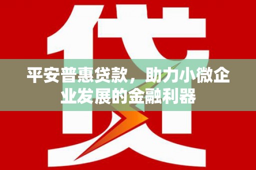 船营平安普惠贷款，助力小微企业发展的金融利器