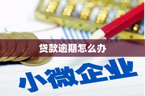 船营贷款逾期怎么办
