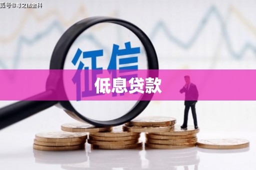 船营低息贷款