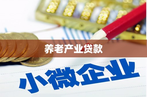 船营养老产业贷款