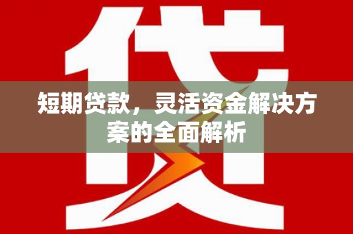 船营短期贷款，灵活资金解决方案的全面解析
