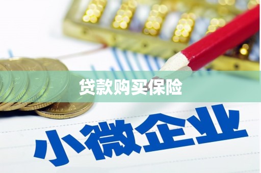 船营贷款购买保险