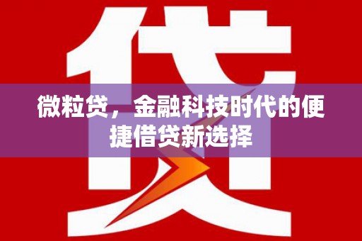 船营微粒贷，金融科技时代的便捷借贷新选择