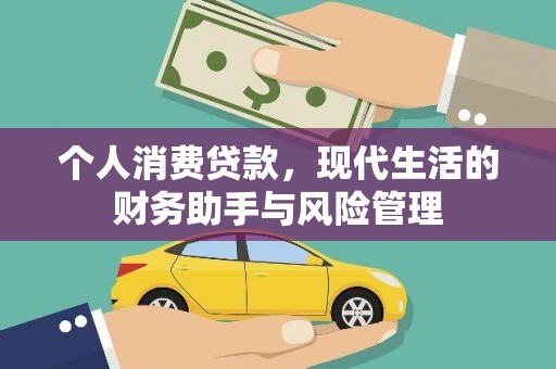 船营个人消费贷款，现代生活的财务助手与风险管理