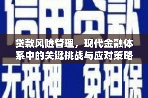 船营贷款风险管理，现代金融体系中的关键挑战与应对策略