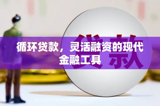 船营循环贷款，灵活融资的现代金融工具