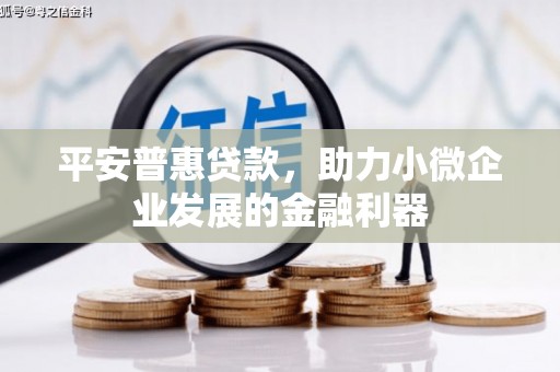 船营平安普惠贷款，助力小微企业发展的金融利器