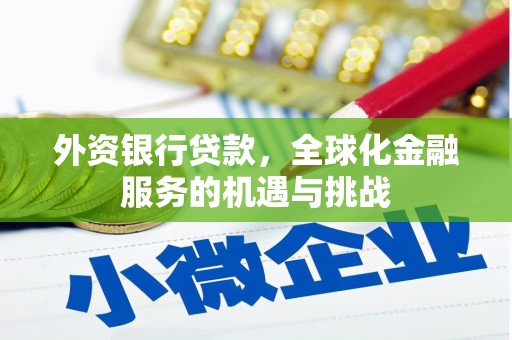 船营外资银行贷款，全球化金融服务的机遇与挑战