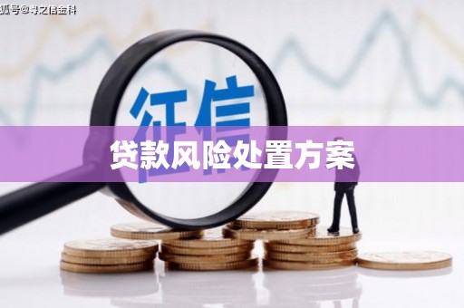 船营贷款风险处置方案