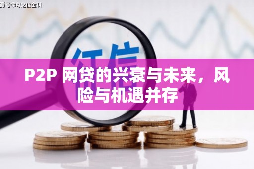 船营P2P 网贷的兴衰与未来，风险与机遇并存