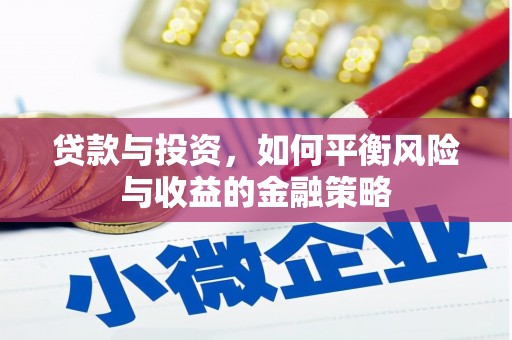 船营贷款与投资，如何平衡风险与收益的金融策略
