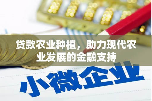 船营贷款农业种植，助力现代农业发展的金融支持